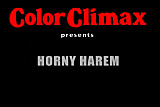CC - Horny Harem