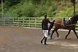 What happend in this horse-riding-school