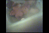 Fingering my hairy wife in the bath