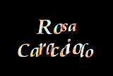 Rosa Caracciolo