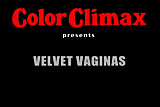 CC - Velvet Vaginas