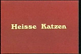 vintage 70s german - Heisse Katzen - cc79