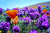 Cleo I (freedom)