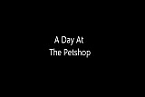 A day at the petshop