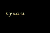 Cynara Poetry In Motion