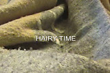 Hairy Time
