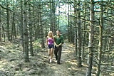 Naughty Nature Lovers Dori And Nick Enjoy A Backwoods Romp