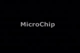 Ashley Lawrence - Microchip
