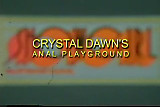 cristal dawn's anal playground    vintage