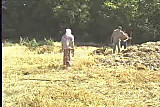 Turkish group on the farm