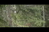 chubby swedish girl fucked in forest