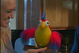 polly wants anal