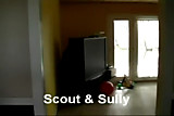 Scout and Sully 43